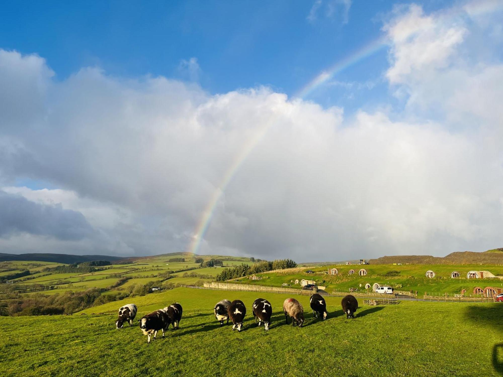 Shepherds View Rhayader Ngoại thất bức ảnh